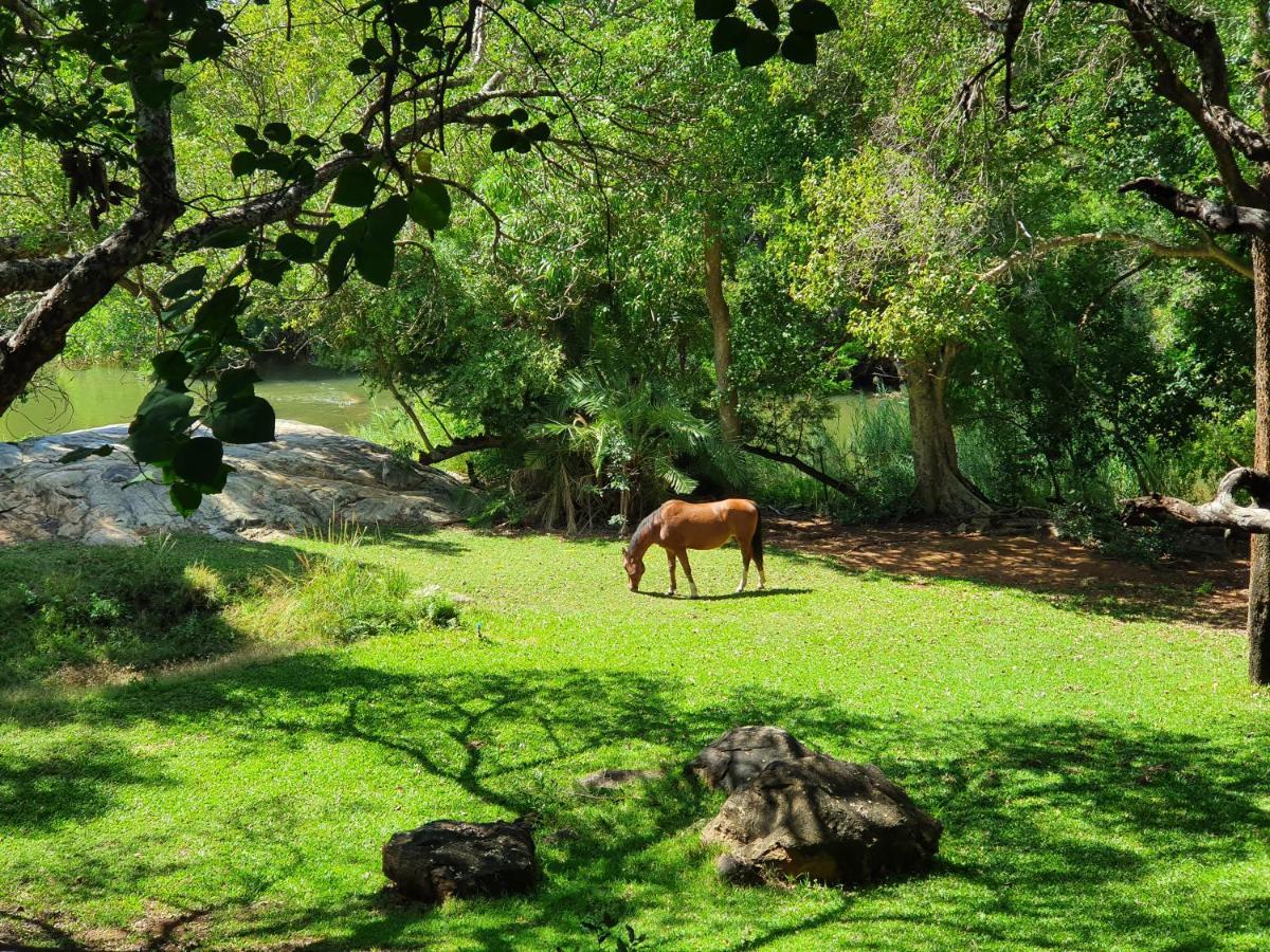 Blyde River Wilderness Lodge Hoedspruit Luaran gambar