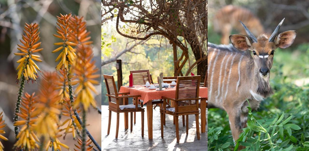 Blyde River Wilderness Lodge Hoedspruit Luaran gambar